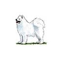 100 Pics Dog Breeds Answers Level 66