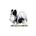 100 Pics Dog Breeds Answers Level 67