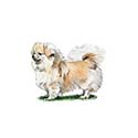 100 Pics Dog Breeds Answers Level 69