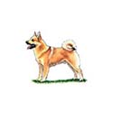 100 Pics Dog Breeds Answers Level 72