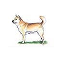 100 Pics Dog Breeds Answers Level 73