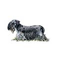 100 Pics Dog Breeds Answers Level 75