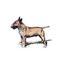 100 Pics Dog Breeds Answers Level 79