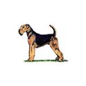 100 Pics Dog Breeds Answers Level 80