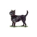 100 Pics Dog Breeds Answers Level 83