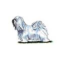 100 Pics Dog Breeds Answers Level 86
