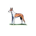 100 Pics Dog Breeds Answers Level 89