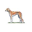 100 Pics Dog Breeds Answers Level 94