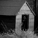 100 Pics Dwellings Answers Level 38