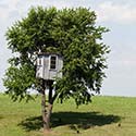 100 Pics Dwellings Answers Level 76