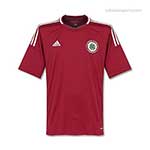 100 Pics Football World Answers Level 43