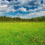 100 Pics G Is For Answers Level 78