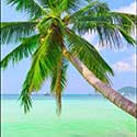 100 Pics Holidays Answers Level 2
