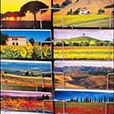 100 Pics Holidays Answers Level 63