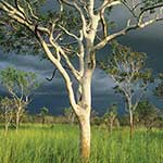 100 Pics I Heart Australia Answers Level 51