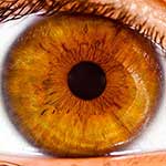 100 Pics I Is For Answers Level 24