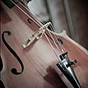 100 Pics Instruments Answers Level 29