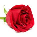 100 Pics Love Answers Level 70