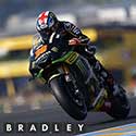 100 Pics Moto Gp Answers Level 48