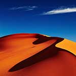 100 Pics Nature Answers Level 1