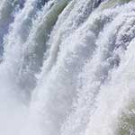 100 Pics Nature Answers Level 25