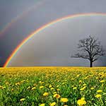 100 Pics Nature Answers Level 34