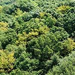 100 Pics Nature Answers Level 43