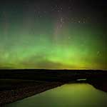 100 Pics Nature Answers Level 62