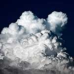 100 Pics Nature Answers Level 68