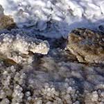 100 Pics Nature Answers Level 71