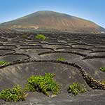 100 Pics Nature Answers Level 72