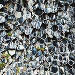 100 Pics Nature Answers Level 76