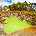 100 Pics Nature Answers Level 78