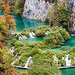 100 Pics Nature Answers Level 79