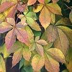 100 Pics Nature Answers Level 8