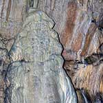 100 Pics Nature Answers Level 90