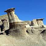 100 Pics Nature Answers Level 97