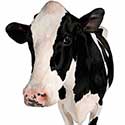 100 Pics On The Farm Answers Level 1