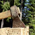 100 Pics On The Farm Answers Level 16