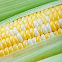 100 Pics On The Farm Answers Level 33