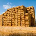 100 Pics On The Farm Answers Level 39