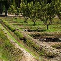 100 Pics On The Farm Answers Level 58