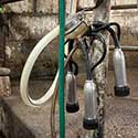 100 Pics On The Farm Answers Level 83