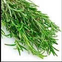100 Pics Plants Answers Level 29