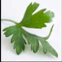 100 Pics Plants Answers Level 30