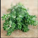 100 Pics Plants Answers Level 33