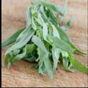 100 Pics Plants Answers Level 34