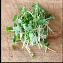 100 Pics Plants Answers Level 50
