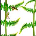100 Pics Plants Answers Level 65