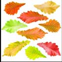 100 Pics Plants Answers Level 71